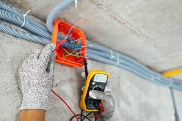 Best Ceiling Fan Installation Electrician  in Clara City, MN